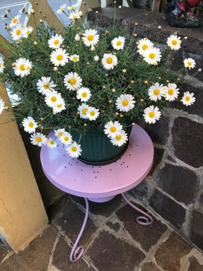 La S'Volta Vanzago Bed And Breakfast Bagian luar foto